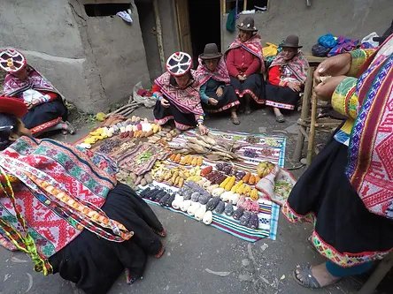 A blanket with various types of vegetables laid out on it with people sitting around it wearing Indigenous clothing.