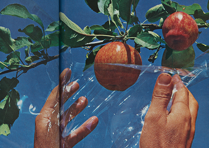 Spring SCRC Exhibition, ‘Plasticized: The Proliferation of Plastics in the 20th Century,’ Opens Feb. 26