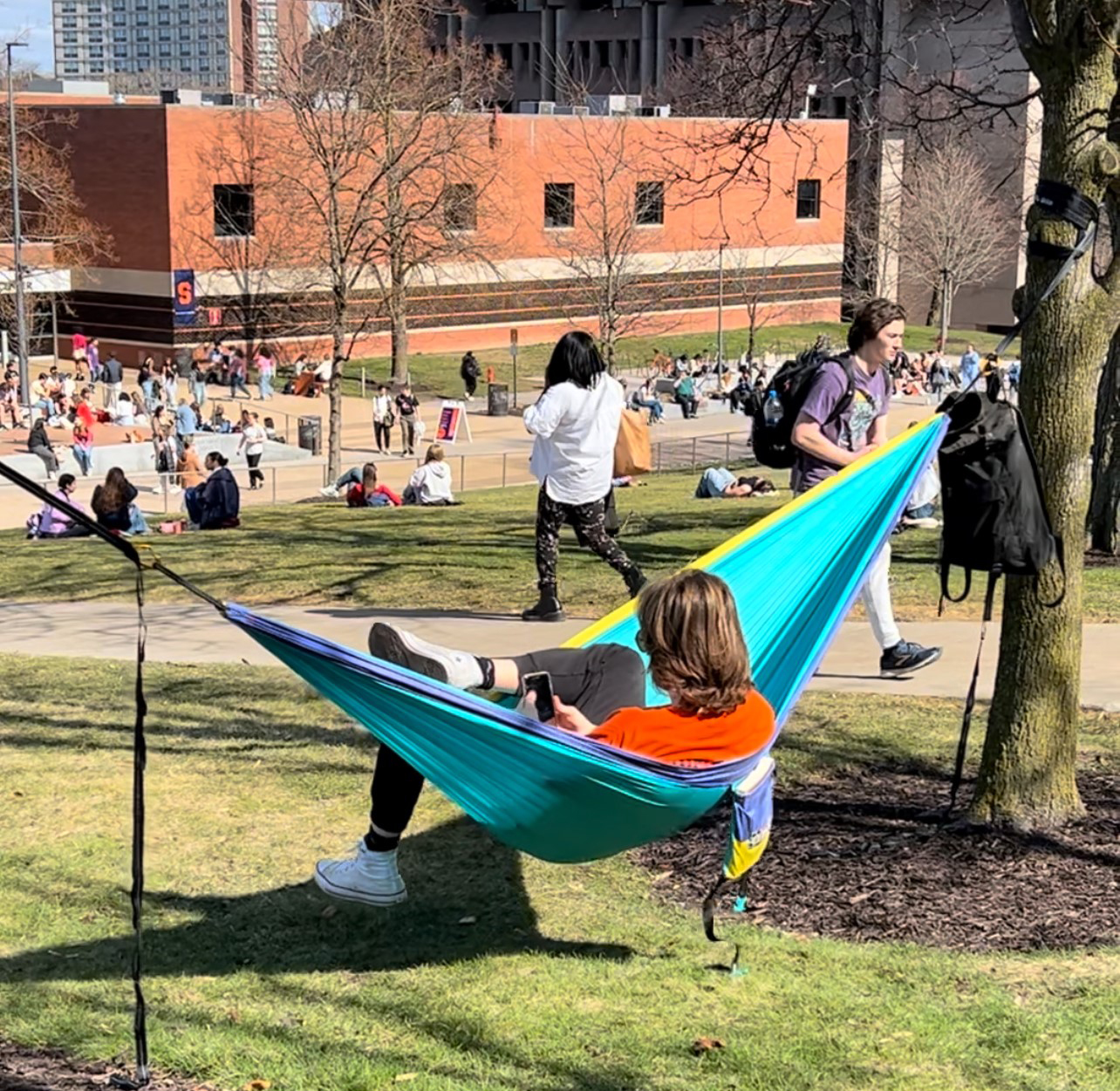 Person sitting in a hammock between two trees with people walking around on a sunny day. 