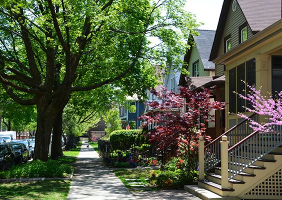 Urban Design Solutions for Black Communities