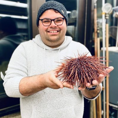 person holding sea urchin