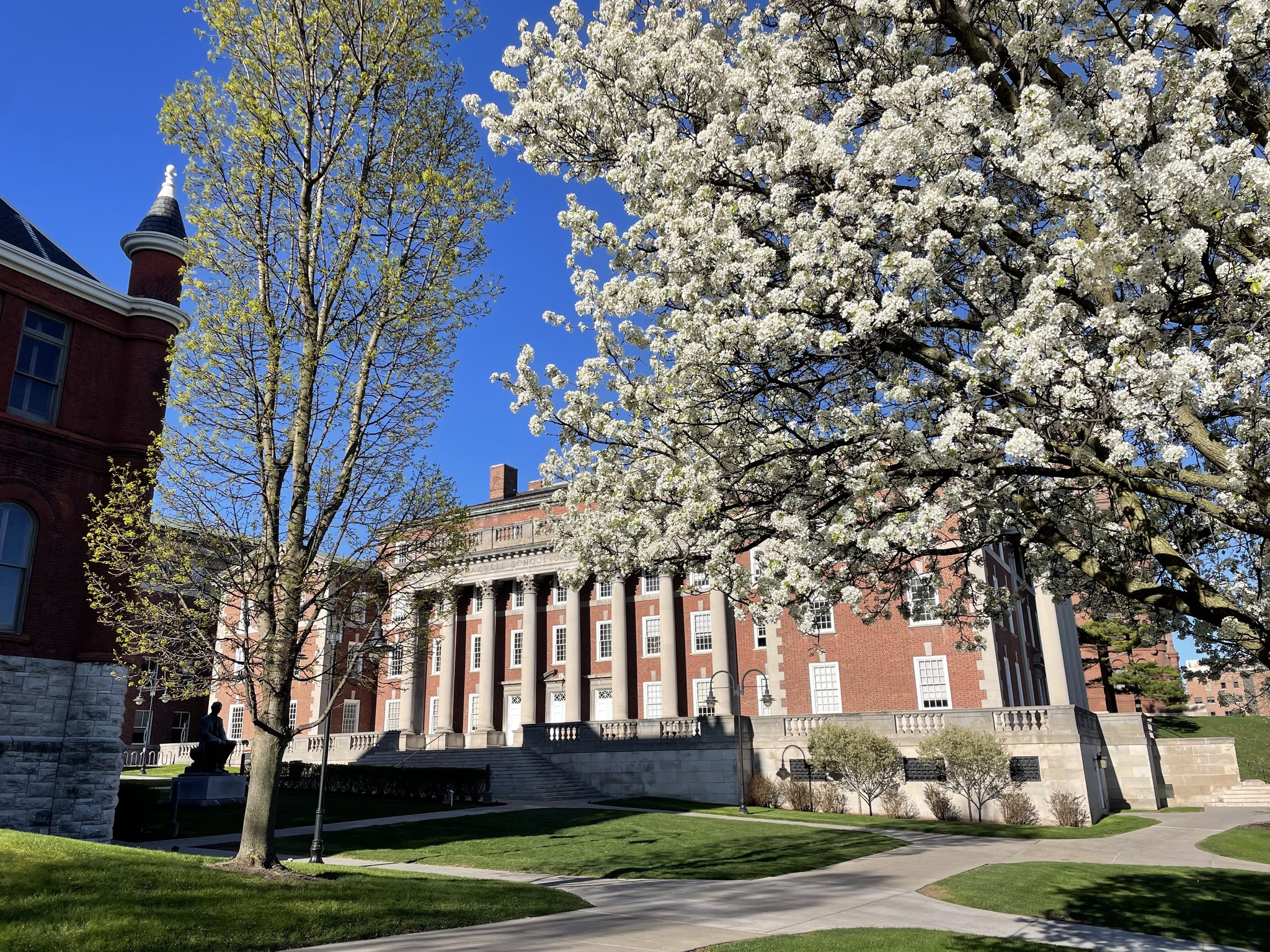Trees blooming on campus in front of Maxwell Hall