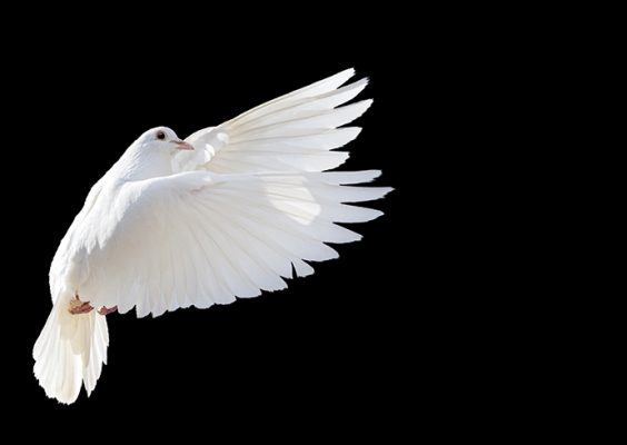 Symposium to Explore Significance of 18th-Century Philosopher’s Essay on Perpetual Peace in Today’s World