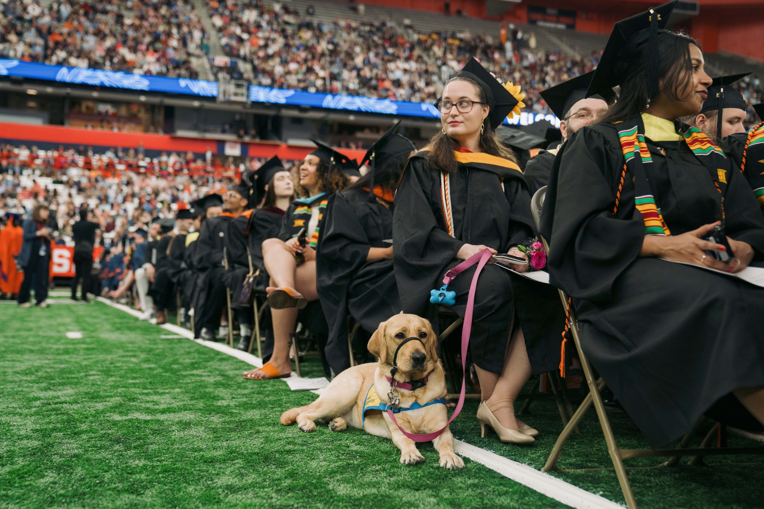 Service dog sitting next to their owner at Commencement