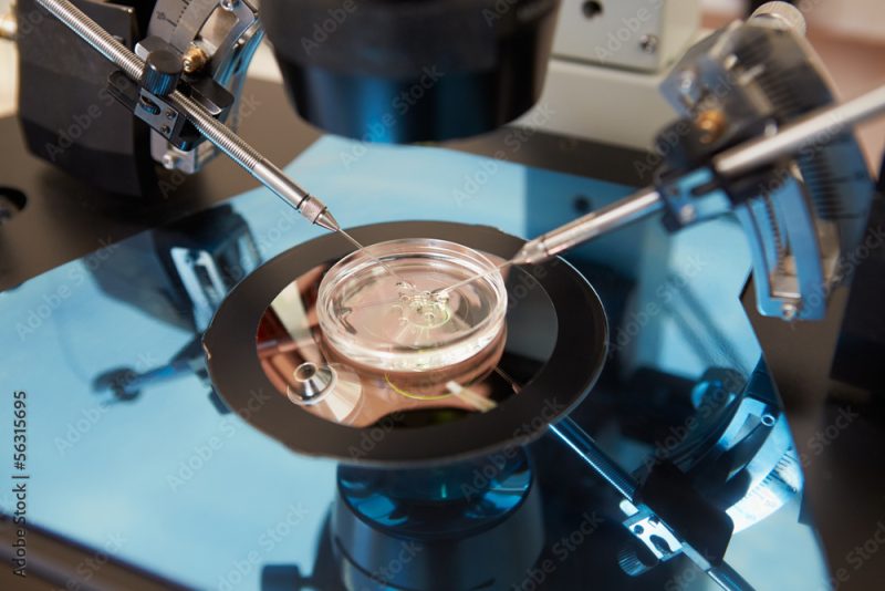 Will SBC’s Vote Against IVF Cost Conservatives Voters?