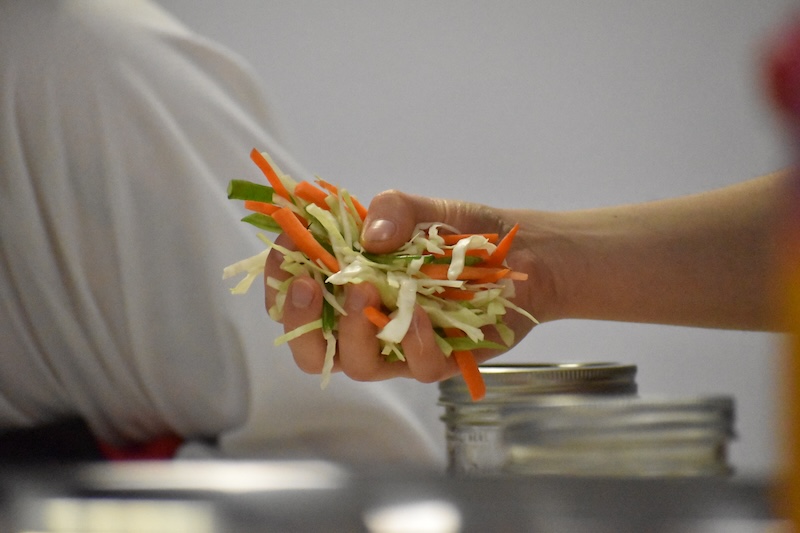 Hand gipping a mix of green cabbage, carrots, and green beans. 