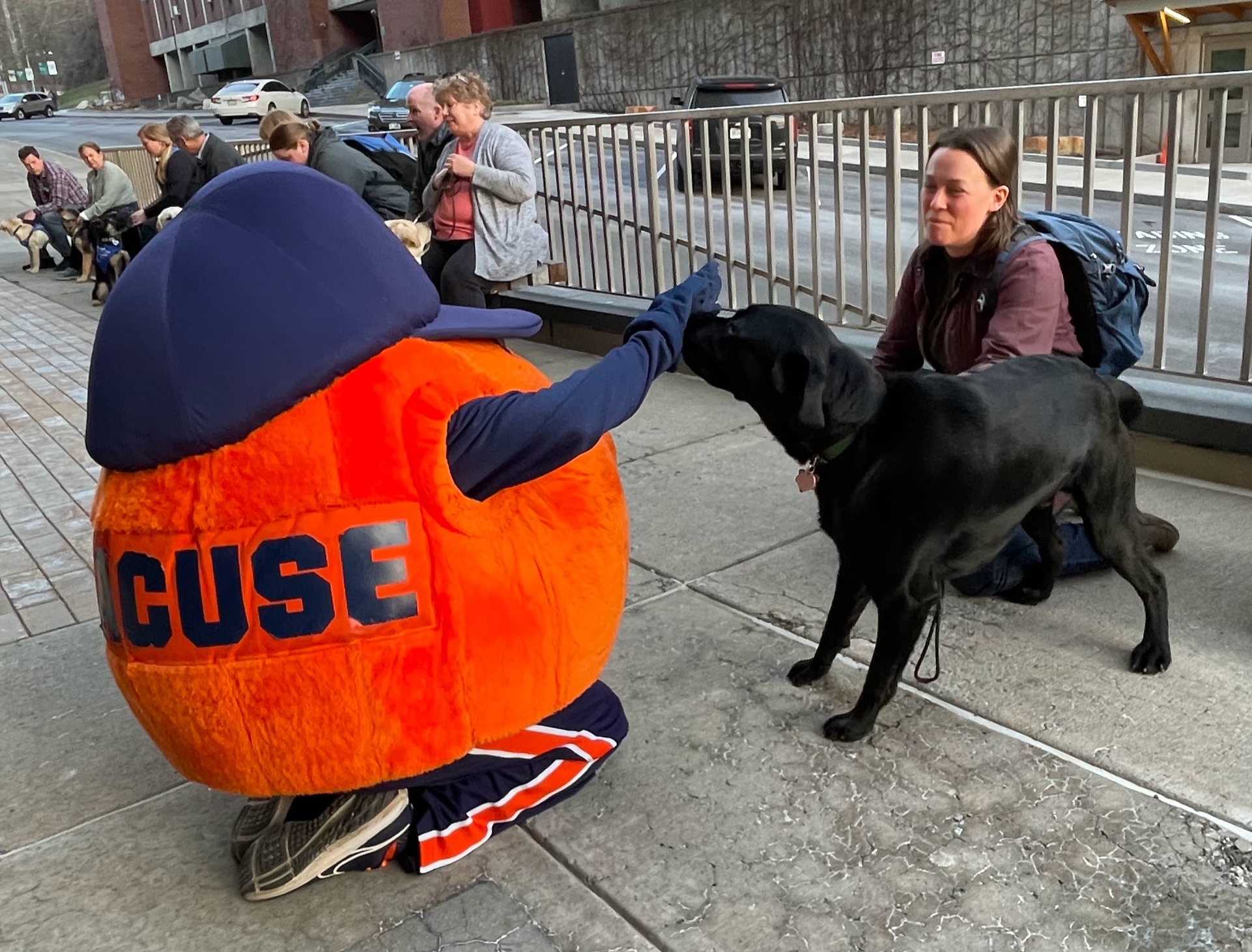 Otto the Orange kneeling on the ground with a black dog sniffing their hand outside the JMA Dome.