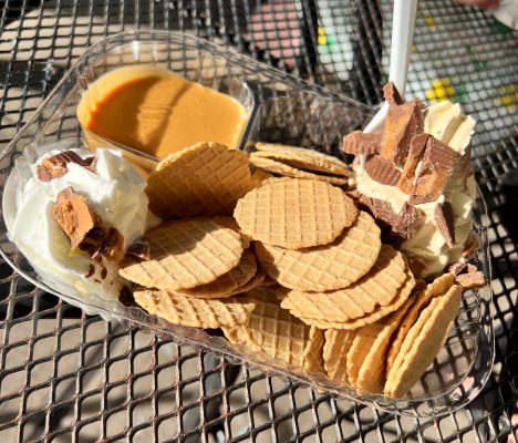 Plastic container with circular waffle cone pieces with divided sections of ice cream and peanut butter sauce