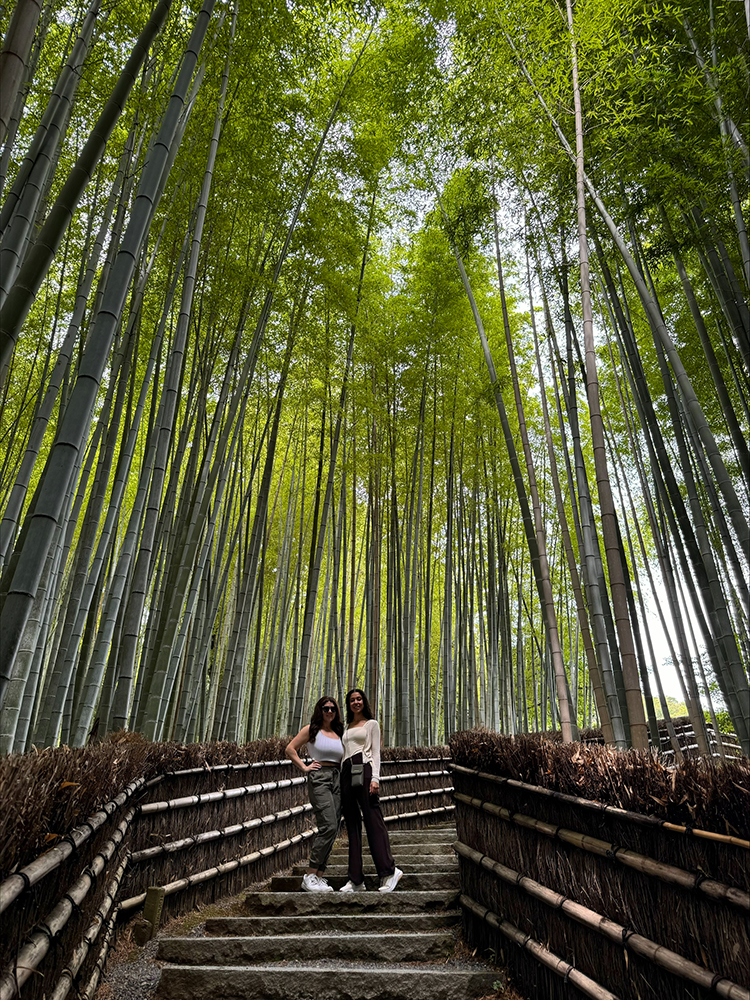 Two people standing on stairs surrounded by very tall trees. 