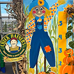 Scarecrow decoration wearing overalls standing next to a growth chart with sunflowers and a 'Chuck Hafners' sign, portraying a festive, fall-themed display.