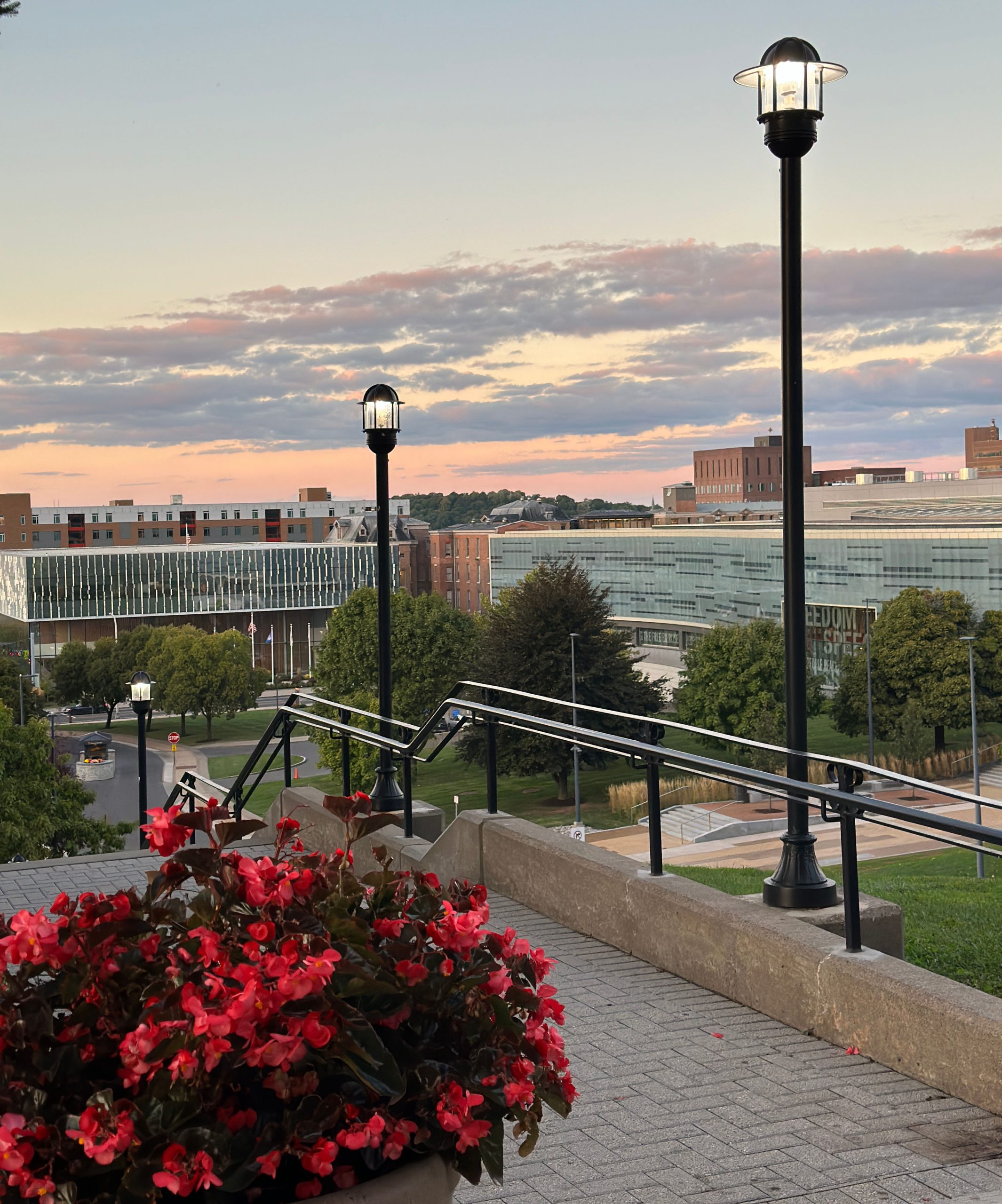 View from a staircase overlooking a cityscape during sunset, featuring bright red flowers in the foreground and lit street lamps, with modern buildings under a colorful sky.