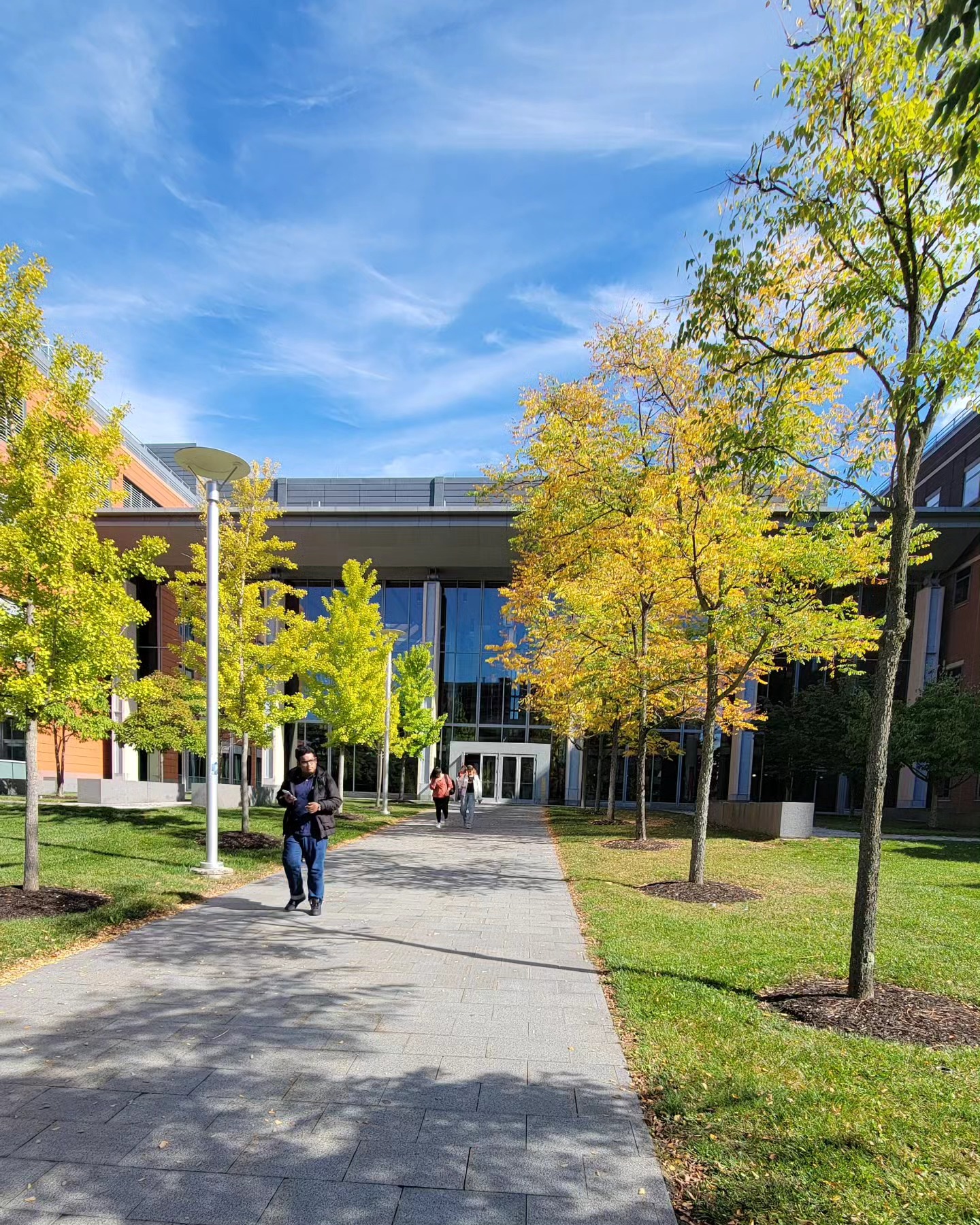 A vibrant autumn scene on a university campus with students walking on a paved pathway bordered by trees exhibiting golden foliage. The backdrop features a modern building with large glass windows under a clear blue sky.