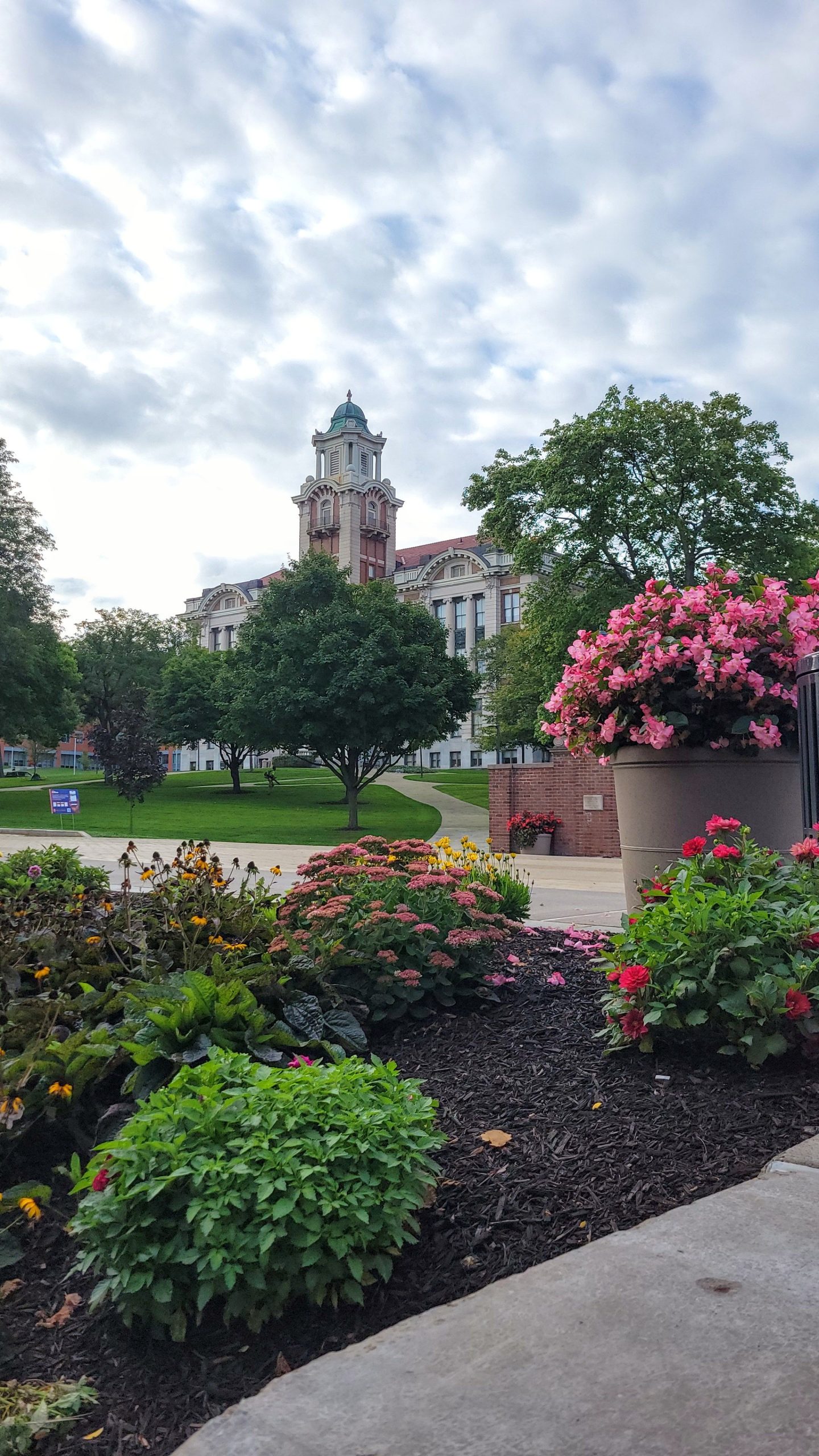 View of Lyman Hall, featuring lush greenery and vibrant pink flowers in the foreground under a cloudy sky.