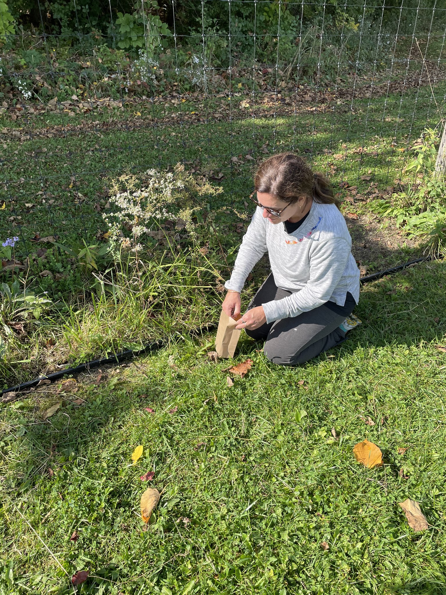 Person kneeling on grass while putting something into a small brown paper bag next to a garden fence with various plants and shrubs in the background.