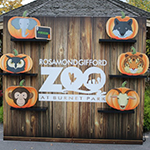 Decorative wooden entrance sign to Rosamond Gifford Zoo at Burnet Park, adorned with colorful animal illustrations including an elephant, bat, pumpkin, lion, and others.