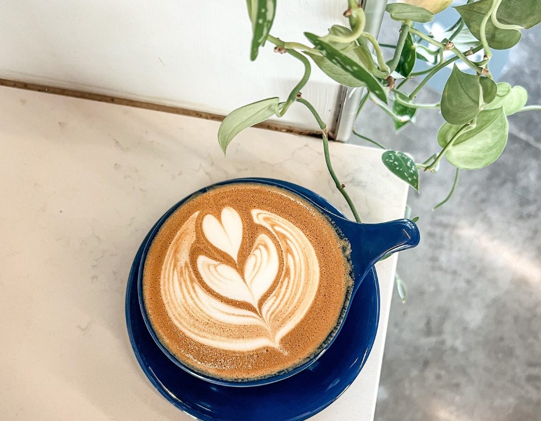 Spilling the Beans: Best Spots to Snag Coffee Around Campus