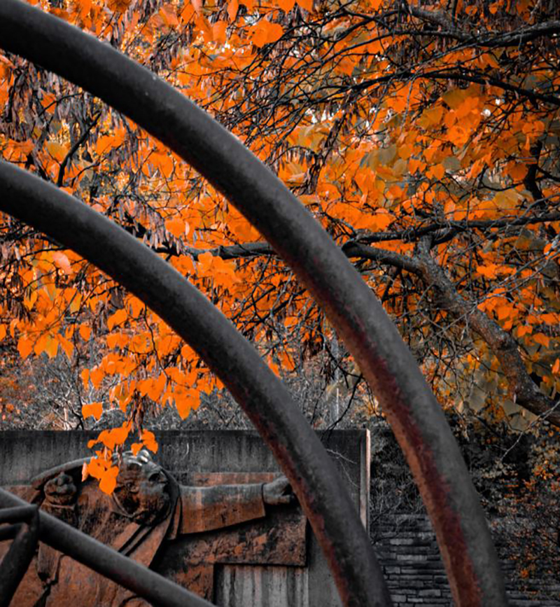 metal sculpture with fall foliage in background