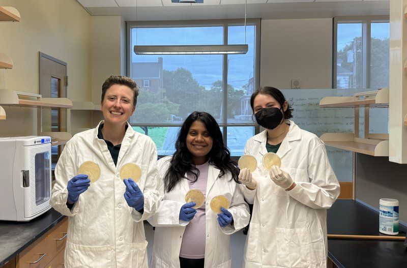 Three scientists in lab coats holding petri dishes in a laboratory.