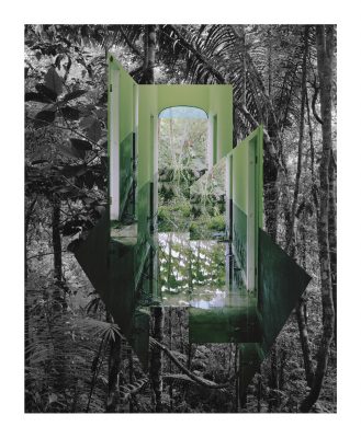 Photographic collage that considers how to represent the Amazonian rainforest