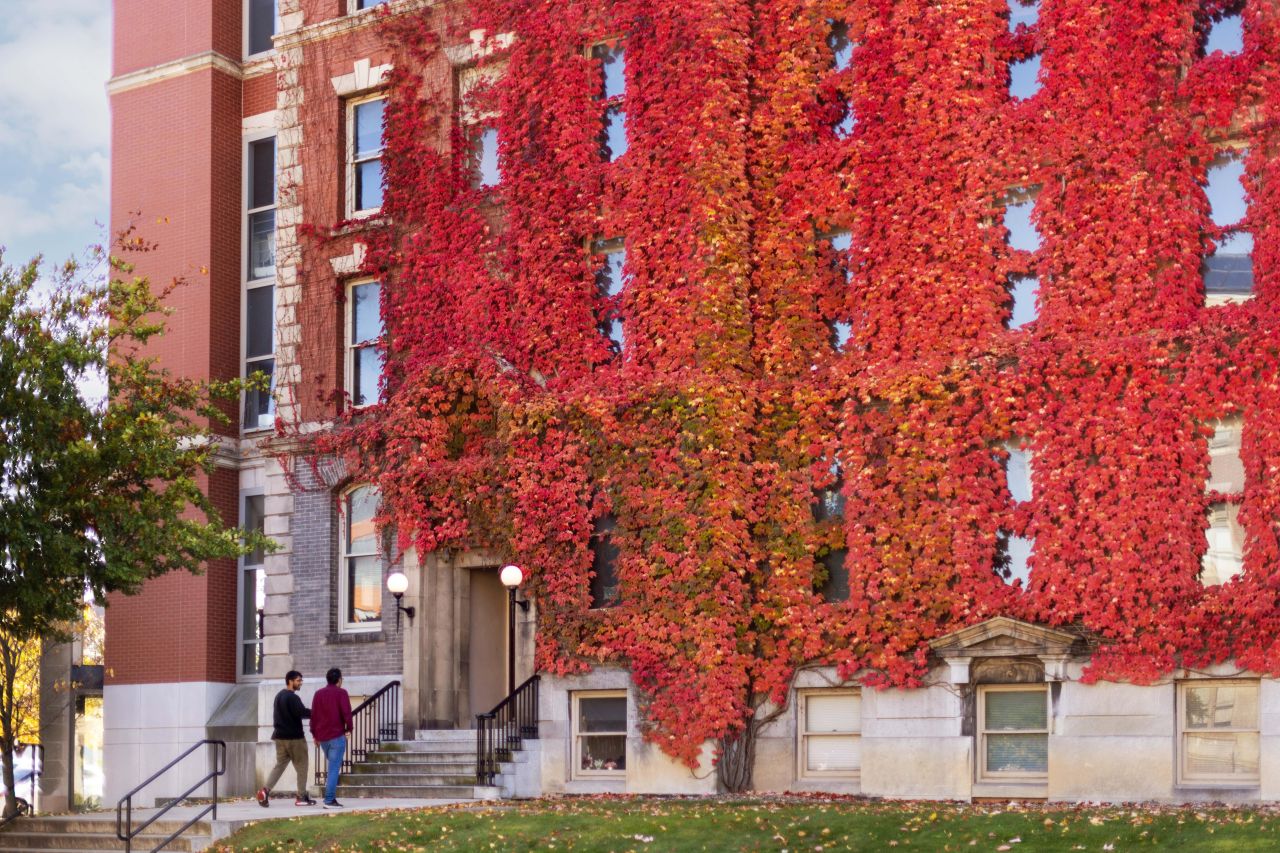 Two people walking towards the entrance of a historic brick building covered with vibrant red ivy.