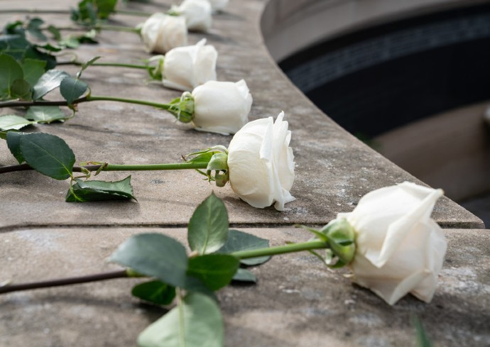 Roses on the wall at the Place of Remembrance