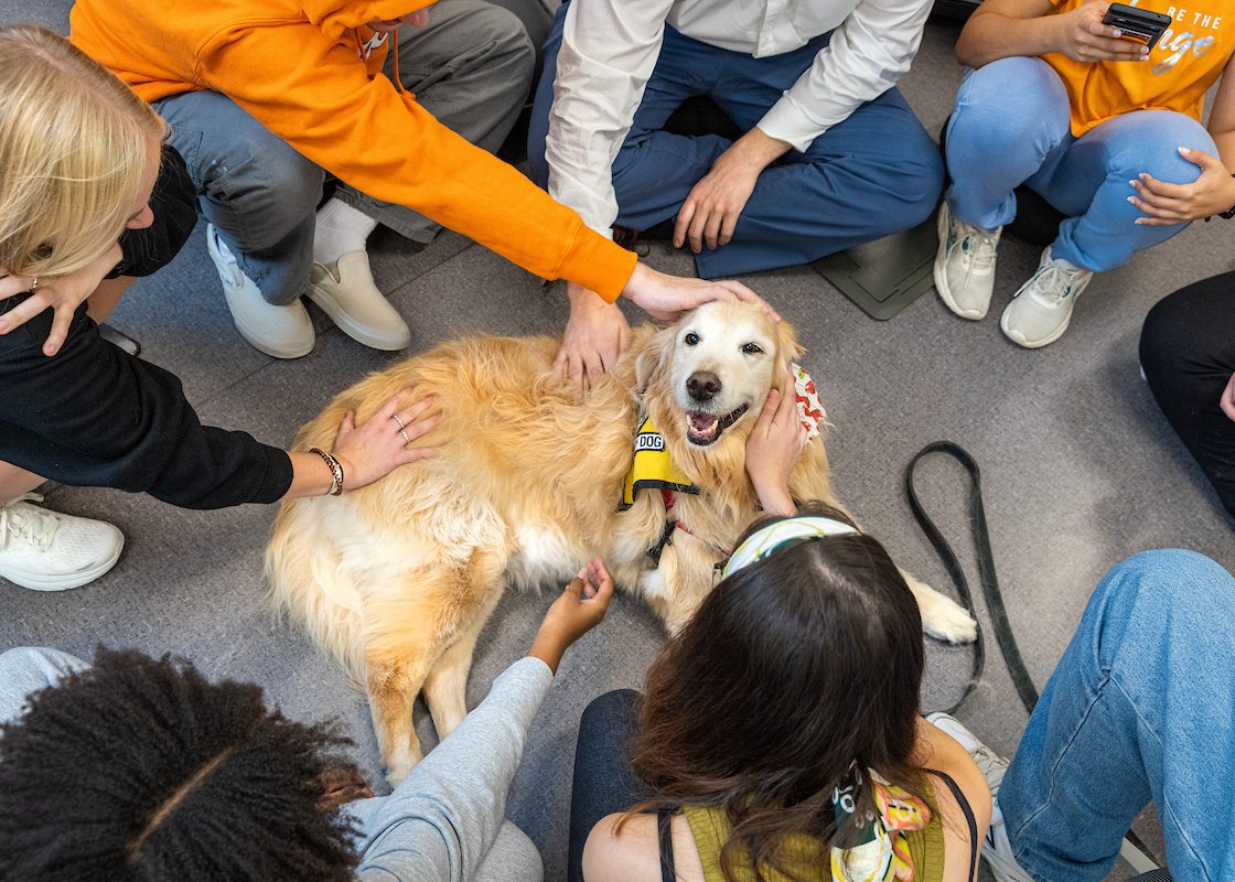 Stressed Over Finals? Meet a Few of the Furry Faces That Will Be on Campus This Week