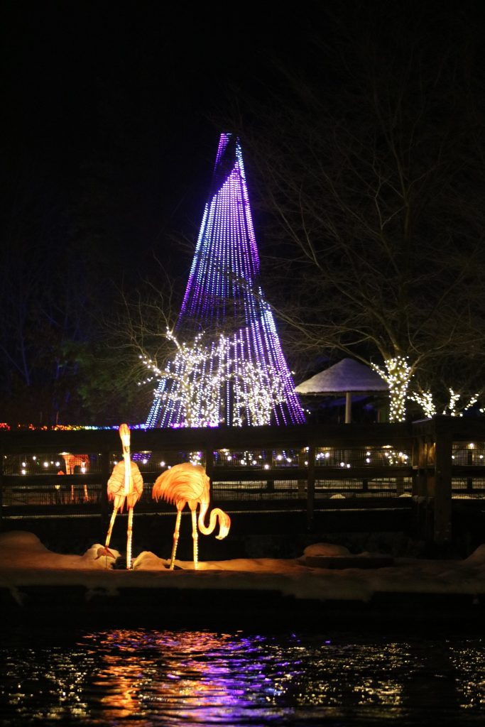 Decorative illuminated display featuring a tall cone-shaped structure covered in blue lights, resembling a stylized tree, and two light sculptures of flamingos beside a reflective water body, set against a night background.