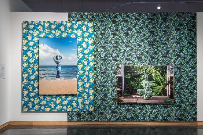 New Exhibition, ‘Joiri Minaya: Unseeing the Tropics at the Museum,’ on View at Syracuse University Art Museum