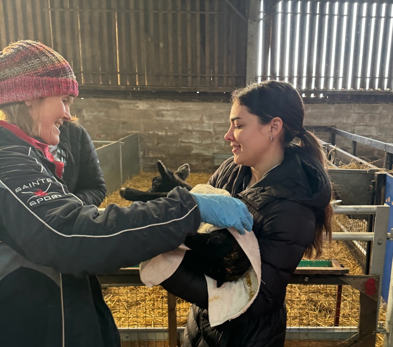 Sardino holding a calf during a Syracuse University trip to Lockerbie, Scotland. 