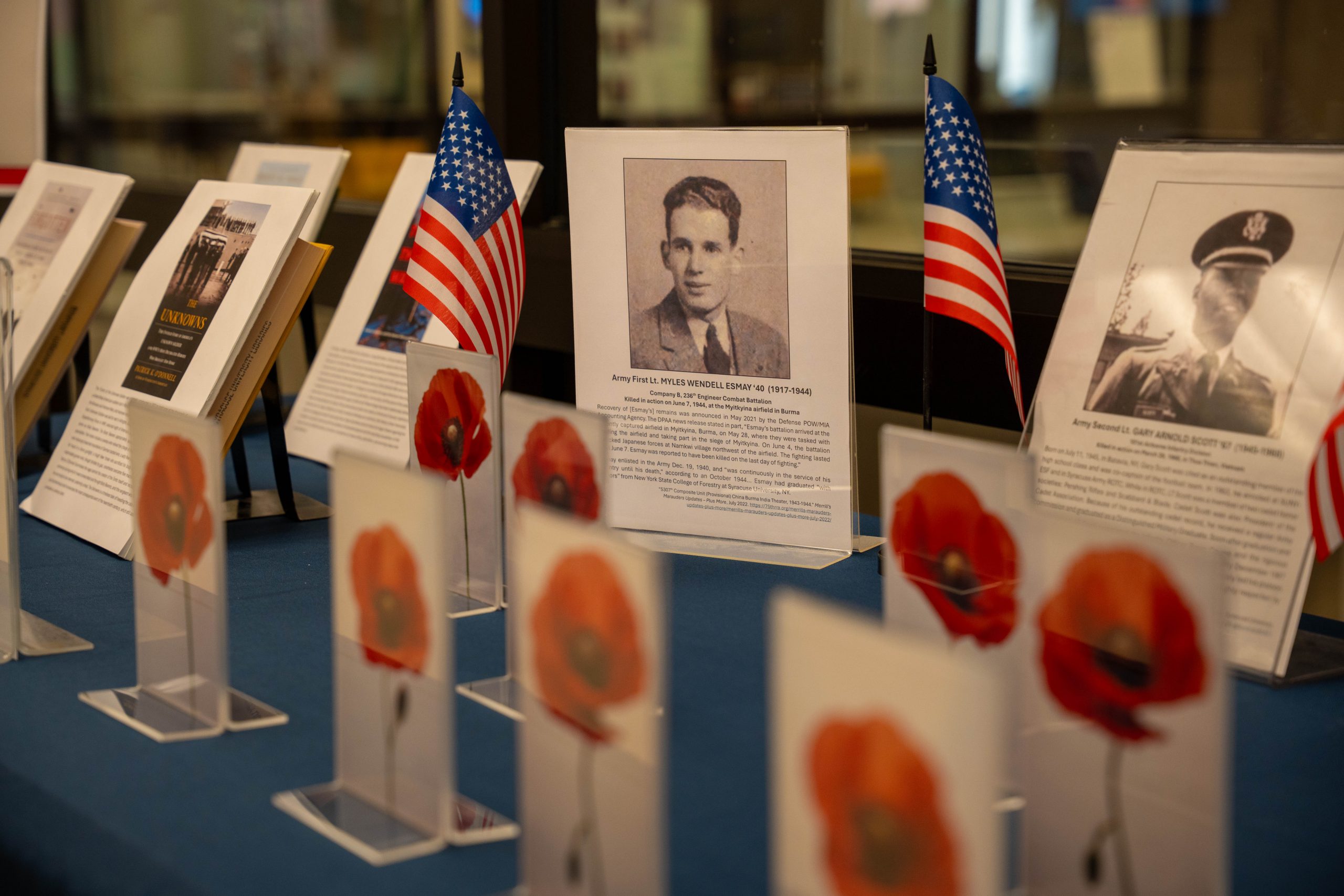 Books, photos of veterans and poppies were part of the Memorial Day exhibition in Bird Library