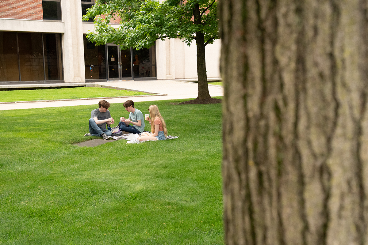 Three people sitting on a blanket on a grassy area of campus, having a picnic or casual gathering. A large tree trunk is in the foreground, partially obscuring the view. A building with large windows and concrete columns is visible in the background.
