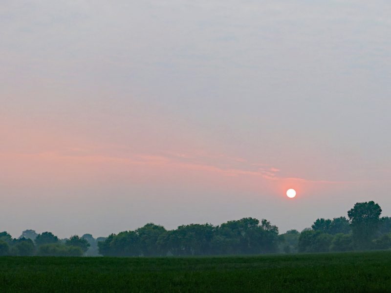 A sun rises or sets near the horizon over a flat green field, with a treeline silhouetted against a soft pink and gray sky