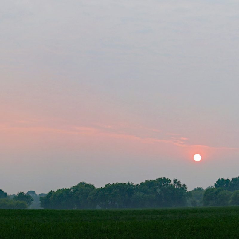 5 Tips to Protect Your Health and Prepare for Worsening Air Conditions