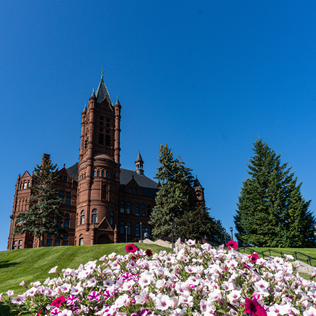 A historic red-brick building with a tall, ornate tower and multiple spires stands against a clear blue sky. The foreground features a lush green lawn adorned with blooming pink and white flowers, while tall evergreen trees frame the scene on both sides.
