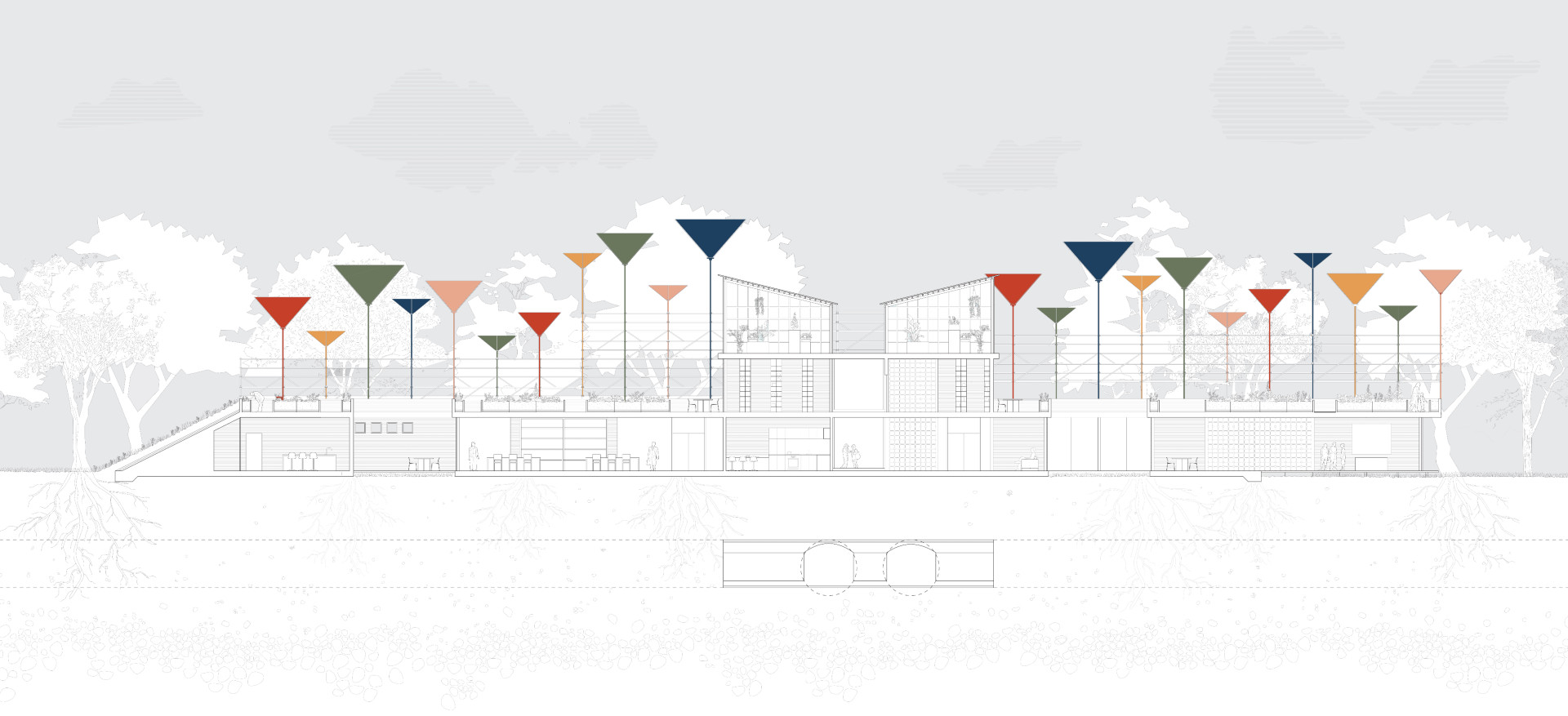 "Evolving an Urban Ecology" long section