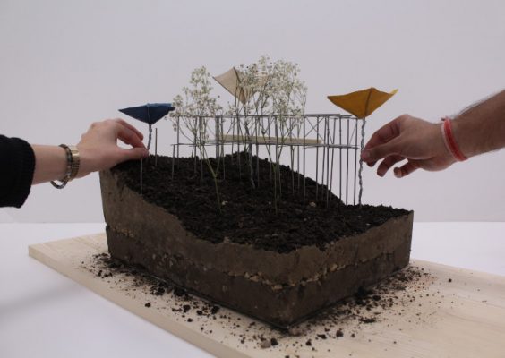 "Evolving an Urban Ecology" model