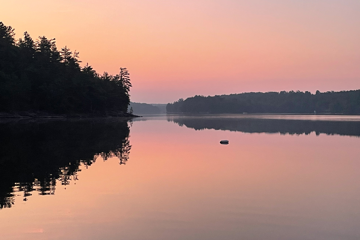 Serene lake at dawn or dusk with pink sky reflected in still water, silhouetted forested shoreline and hills, single dark object floating on surface.