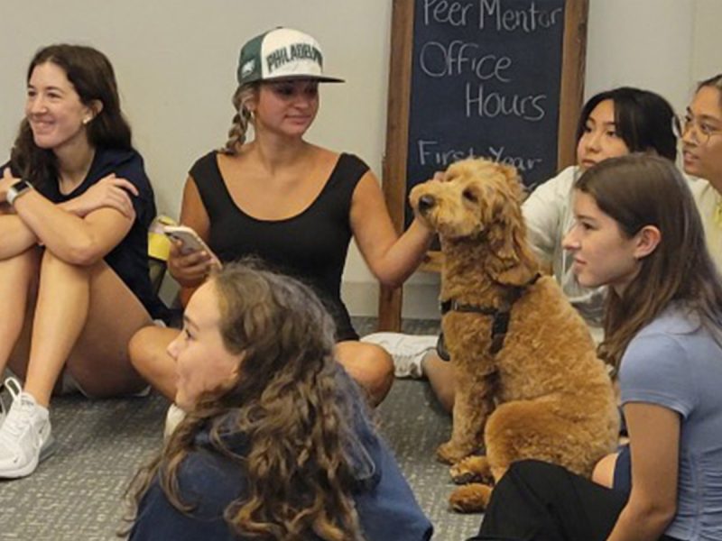 a group of students sitting on a floor with a golden doodle therapy dog and a chalkboard sign in the background