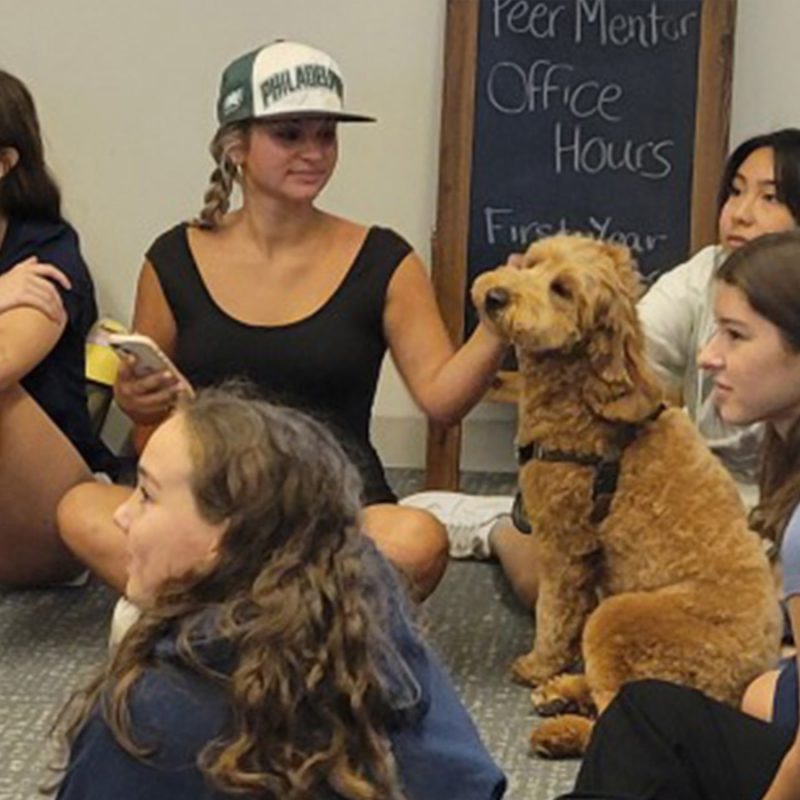 Whitman School Honored for Mental Health Excellence