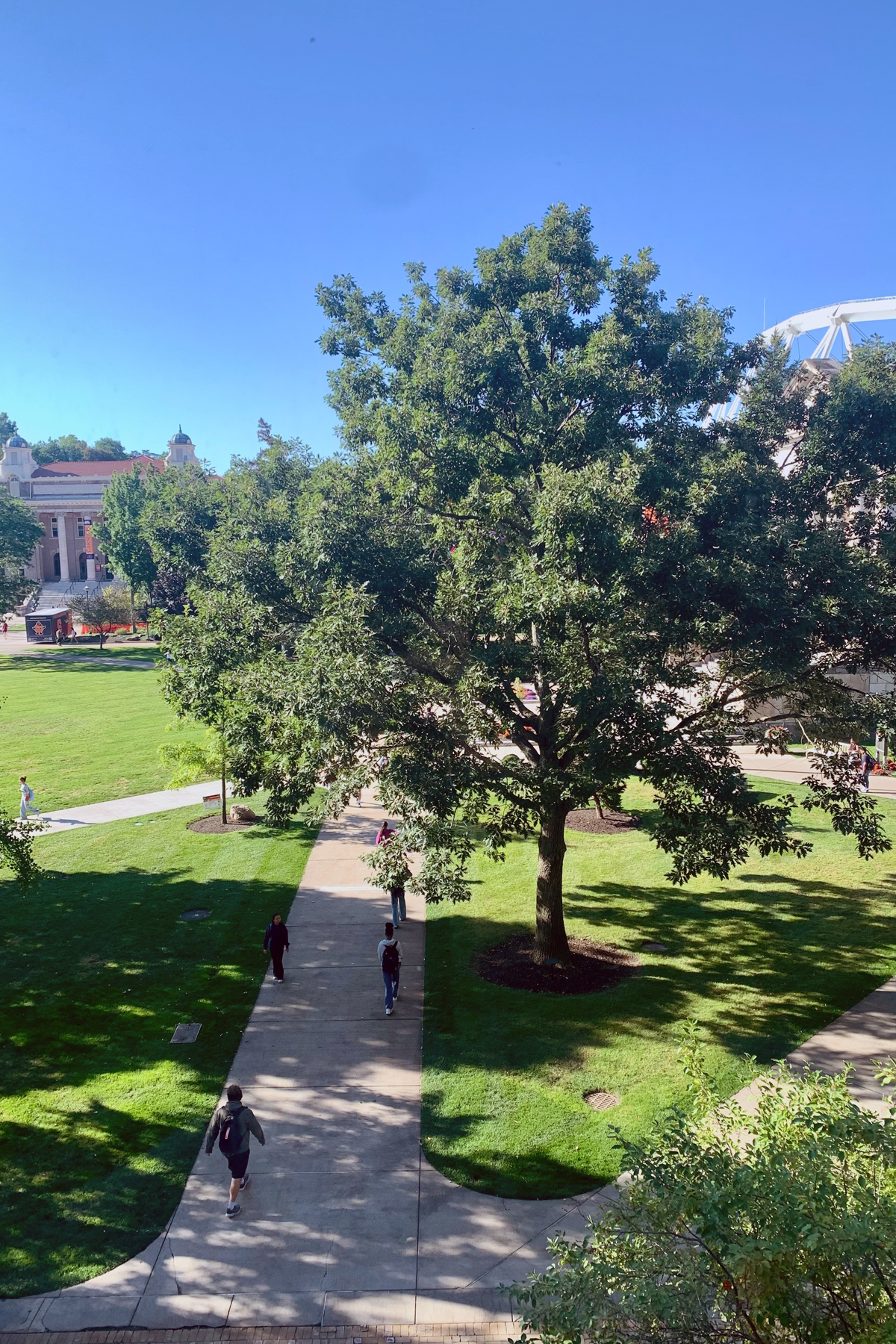 The view of the Syracuse University Quad on a beautiful sunny day.