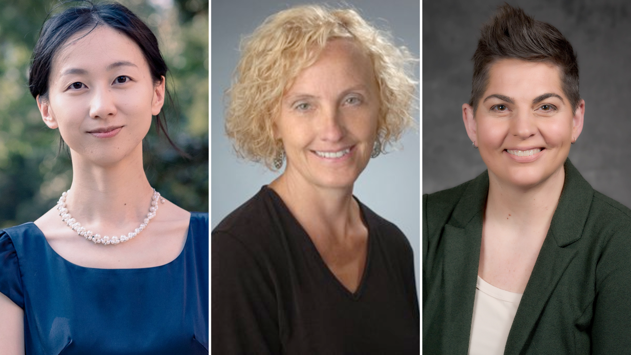 Pictured from left to right are professional headshots of a person with long dark hair wearing a blue blouse and pearl necklace, smiling at the camera against a blurred outdoor background, a person with curly shoulder-length hair wearing a dark V-neck top, smiling against a neutral background, and a person with short brown hair styled upward wearing a green blazer over a light-colored top, smiling against a gray background.