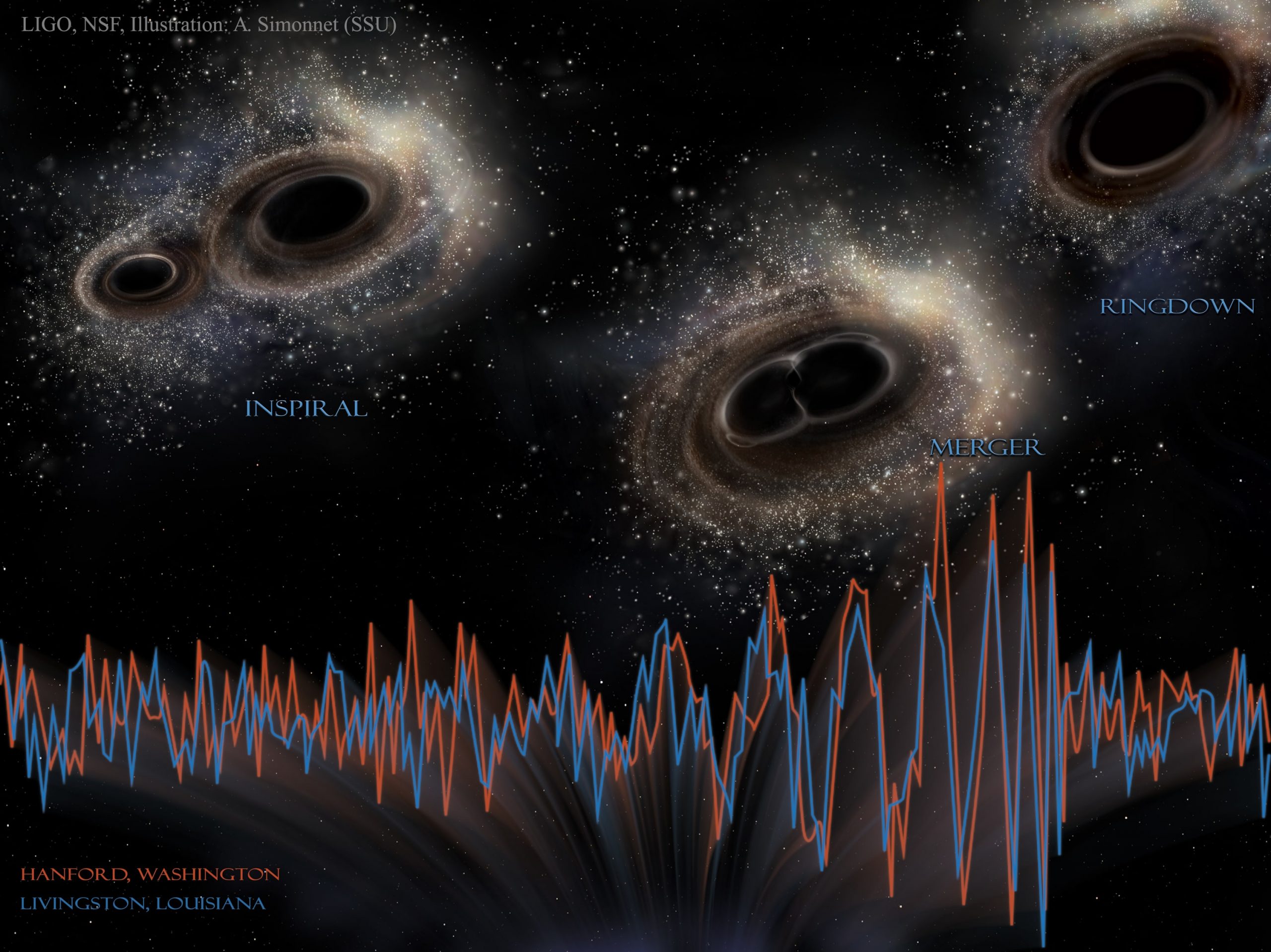 Black hole merger illustration showing two black holes spiraling together (labeled "INSPIRAL"), merging into one (labeled "MERGER"), then settling into a final state (labeled "RINGDOWN"). Below are overlaid gravitational wave signals in red and blue from LIGO detectors in Hanford, Washington and Livingston, Louisiana, showing the characteristic chirp pattern that increases in amplitude during merger.