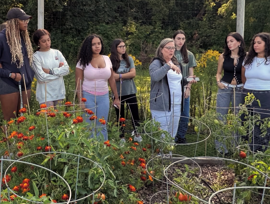 Group of people in a garden with tomato plants, marigolds, and metal supports, surrounded by lush greenery.