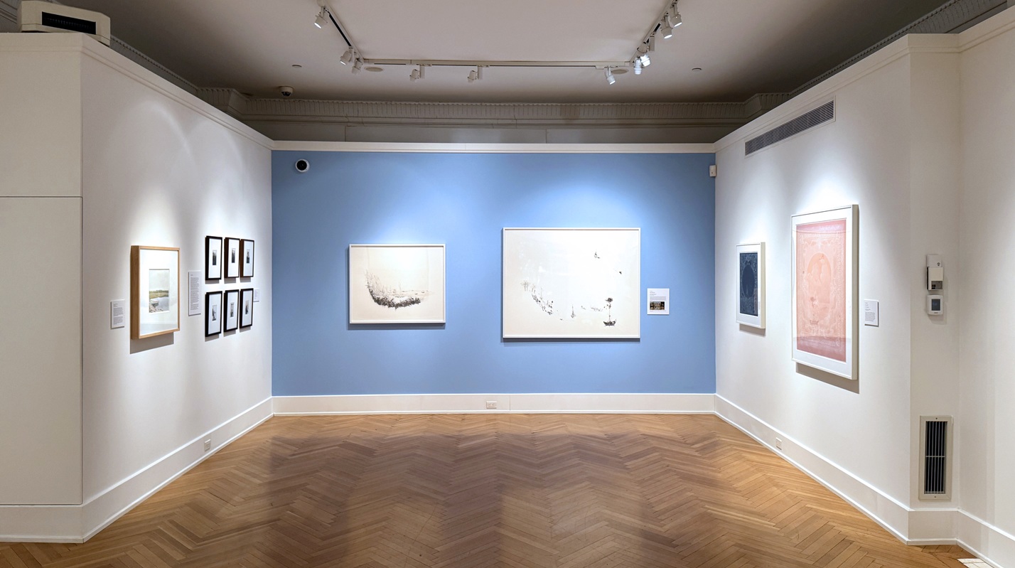 Art gallery room with white and blue walls displaying multiple framed artworks