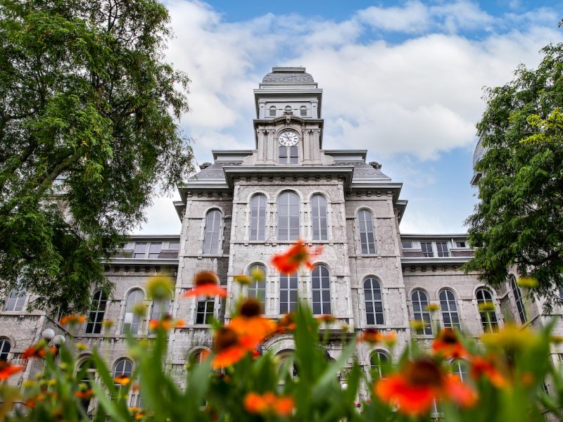 Historic stone building with clock tower framed by tall trees and orange flowers under a partly cloudy blue sky.