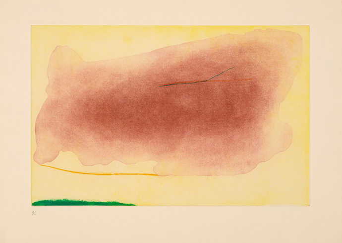 Art Museum Launches Fall 2025 Season With Dynamic, Interdisciplinary Exhibitions
