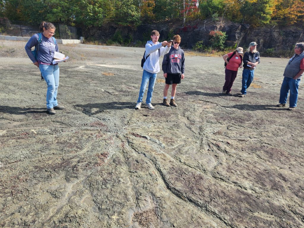 Group of students and adults examining exposed rock formations during an outdoor geology field trip.