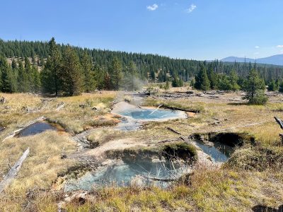 Microbial Details in Hot Springs