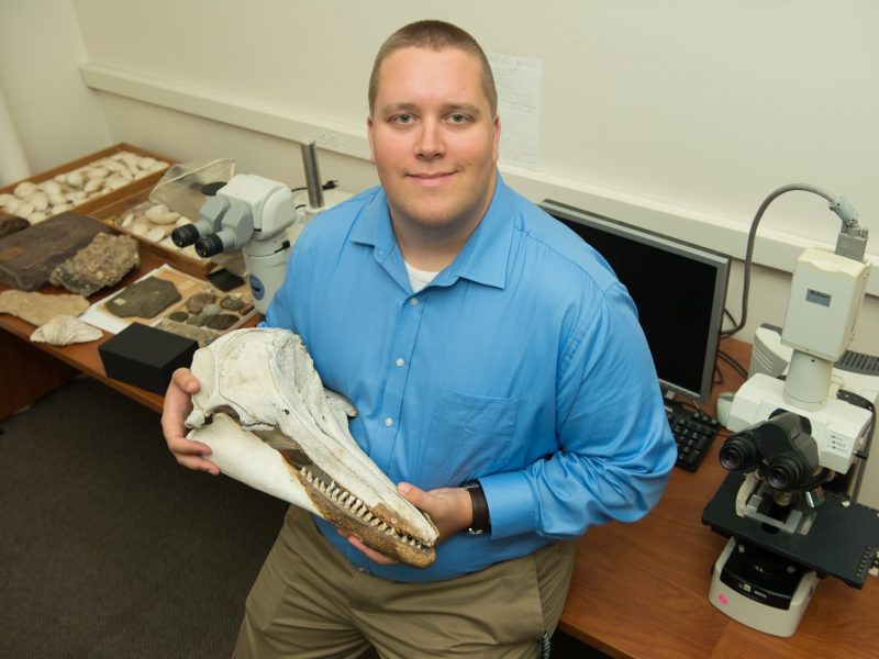 A person wearing a blue button-up shirt is seated in a laboratory setting, holding a large elongated skull with sharp teeth, likely from a marine mammal such as a dolphin or whale. The desk behind them contains various rock and fossil specimens, and there are two microscopes and a computer on the table, indicating a research or paleontology environment.