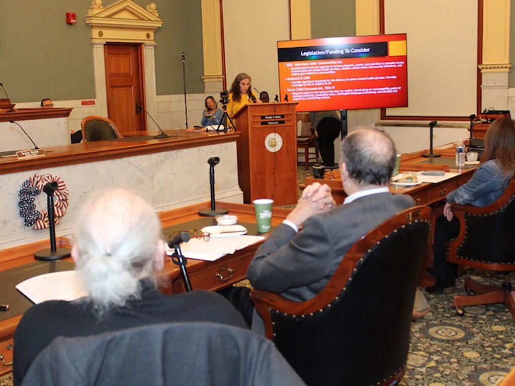 A social work student presents in the Onondaga County Legislature chambers as part of this year's Legislative Policy Day
